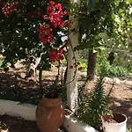 La Di Zazopetra *