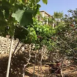 La Di Zazopetra * Menetaí