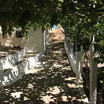 La Di Zazopetra *