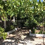 La Di Zazopetra