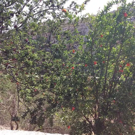 La Di Zazopetra 度假居