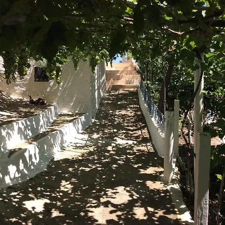 La Di Zazopetra *