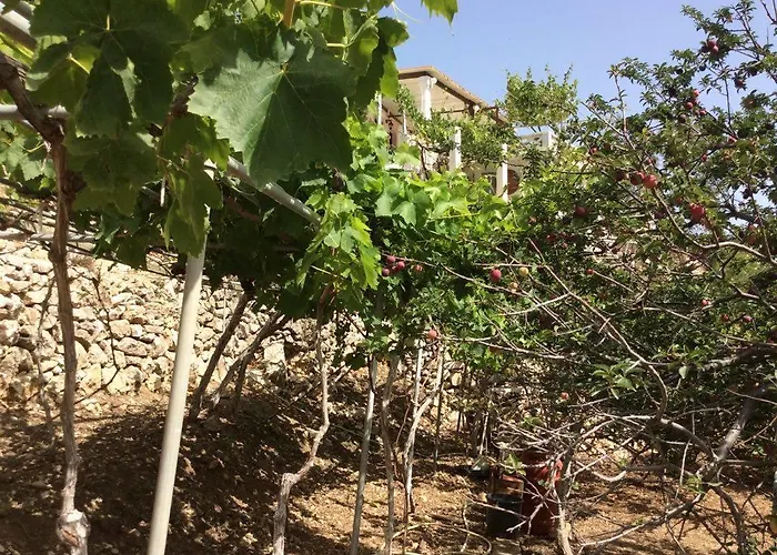 La Di Zazopetra * Menetaí