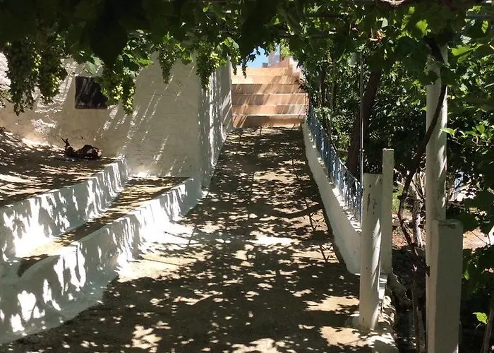 La Di Zazopetra *