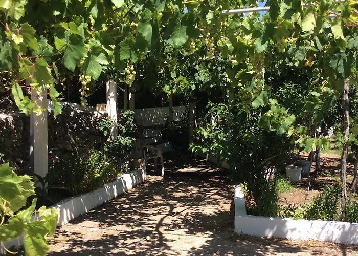 La Di Zazopetra
