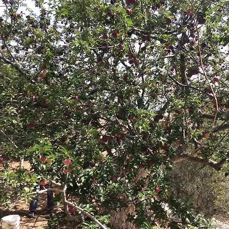 La Di Zazopetra Casa vacanze Menetaí