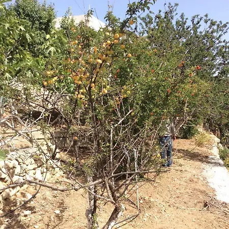 La Di Zazopetra Casa vacanze Menetaí