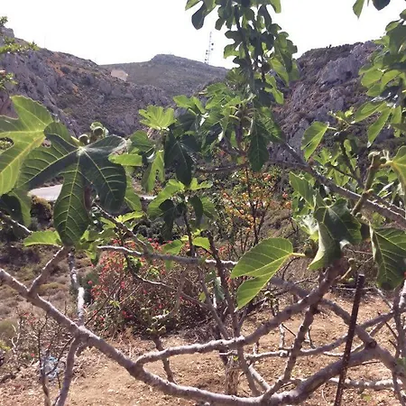 La Di Zazopetra Menetaí