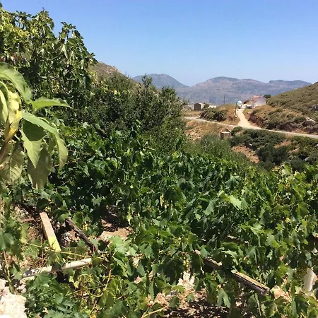 Casa vacanze La Di Zazopetra Menetaí