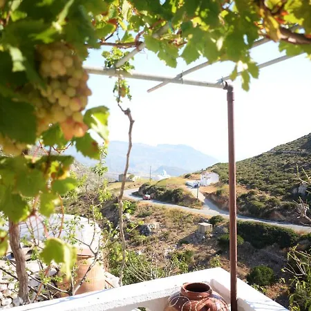 La Di Zazopetra Menetaí