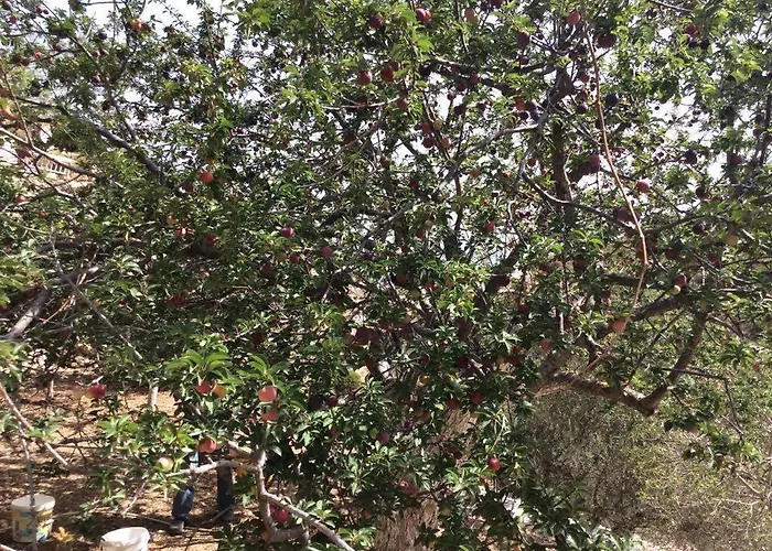 La Di Zazopetra بيت للعطل Menetaí